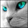 Benutzeravatar
