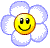 blume :blume: